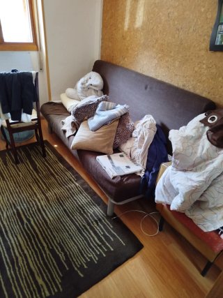 Sofa cama