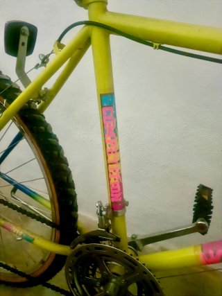 DOS BICICLETAS  MOUNTAIN BIKE.