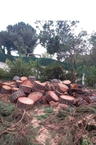 Jardinero profesional.
