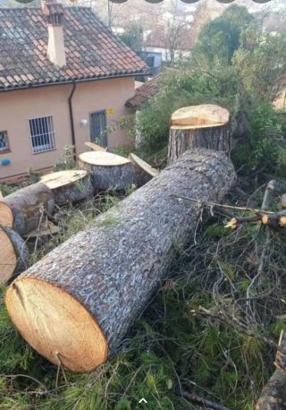 Jardinero profesional.