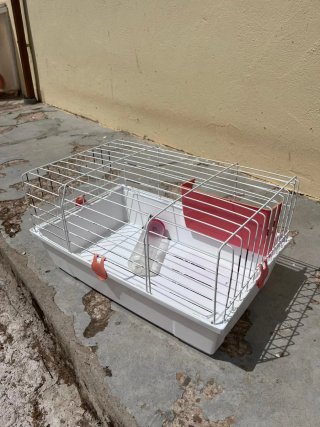Jaula para conejo con bebedero y comedero