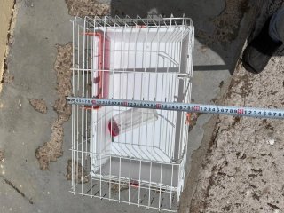 Jaula para conejo con bebedero y comedero