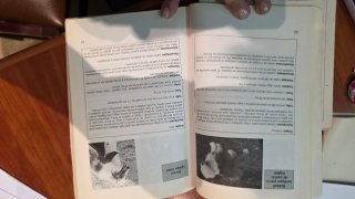 Su perro cómo educarlo con cariño