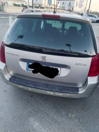 Peugeot 307 2006
