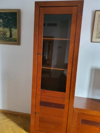 Vitrina de madera y cristal