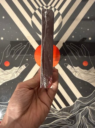 🇪🇸Nintendo Switch Gris Edición Coleccionista