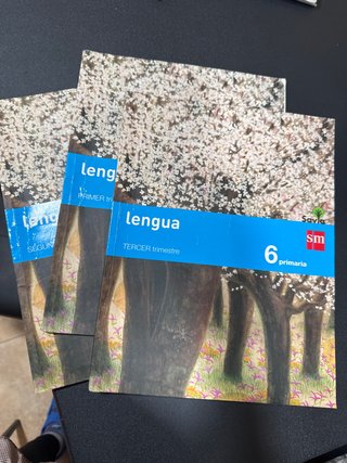 Libros de lengua 6 primaria SM