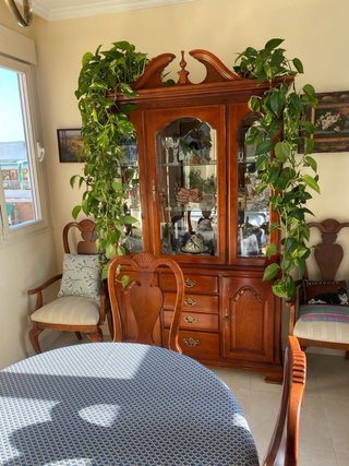 Mueble de salón de caoba