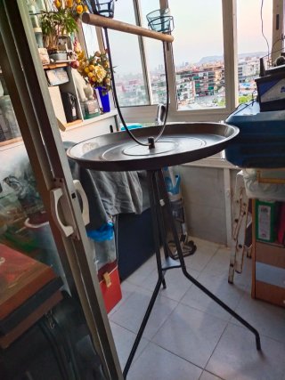Soporte para aves: loro, cotorra,