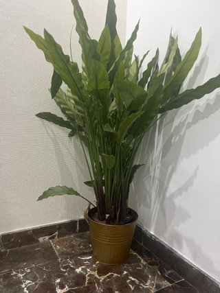 Planta artificial verde