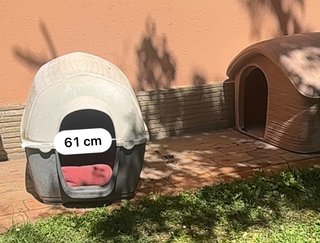 2 Cucce per cani taglia grande