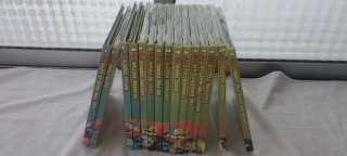 Colección de libros English with the lunnies