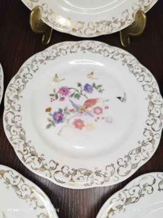 LIMOGES AVE DEL PARAISO PORCELANA POSTRE