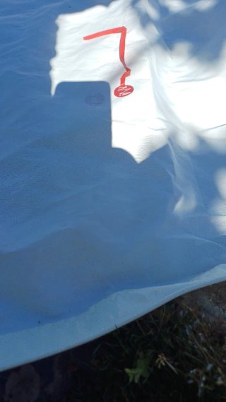 Vela Génova