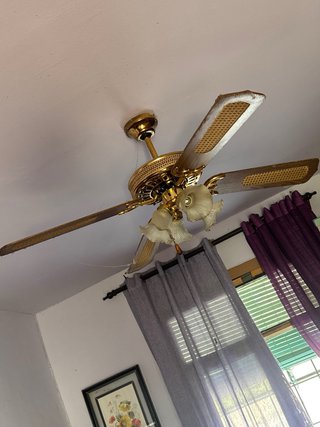 Ventilador de techo dorado y madera