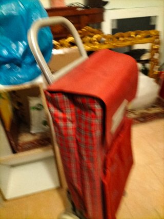 Carro de la compra rojo
