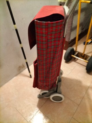 Carro de la compra rojo