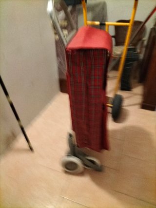 Carro de la compra rojo