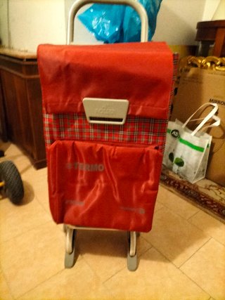 Carro de la compra rojo