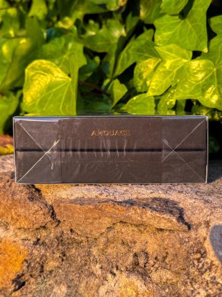 Amouage Reflection Man Caja Perfume