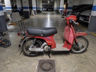 Honda Scoopy SH 50