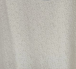 Top indie chic manga corta encaje floral blanco