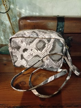 Zapatos y bolso estampado serpiente