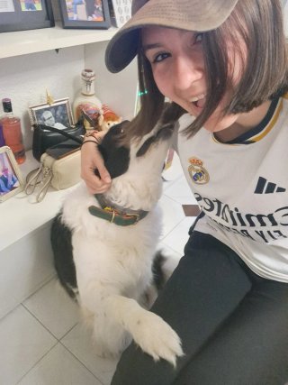 Cuidado de Mascotas y/o Hijxs