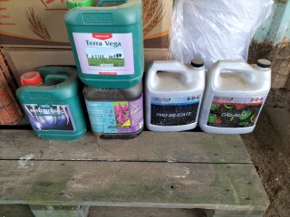 Balastos para cultivo indoor