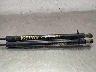 AMORTIGUADORES MALETERO / PORTON CITROEN C3 PICAS