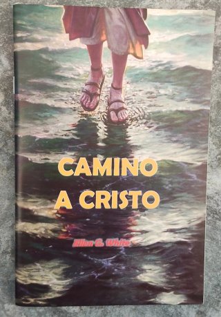 Santa Biblia Reina Valera 1995 + camino a cristo
