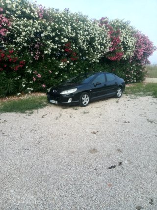 Peugeot 407 2004