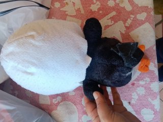 Calimero peluche