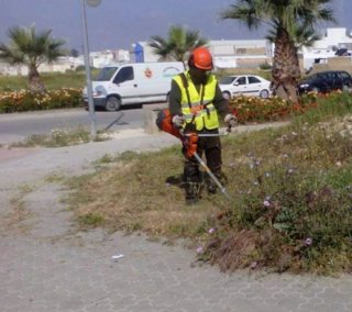 Servicio de jardinería y desbroce
