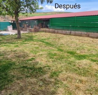 Limpieza de parcelas desbroces