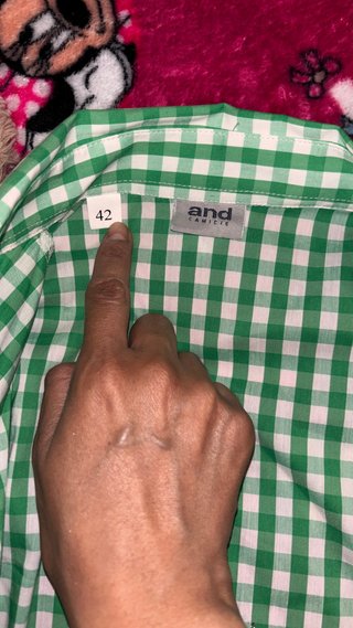 Camicia a quadri verde e bianca