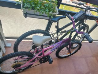 Bicicletas infantiles niño/niña