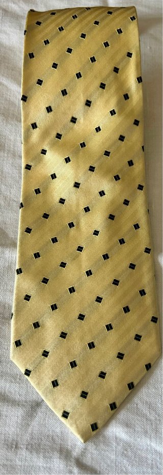 Due cravatte Carlo Pignatelli Vendo a 15€ cadauna