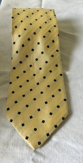 Due cravatte Carlo Pignatelli Vendo a 15€ cadauna