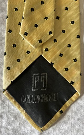 Due cravatte Carlo Pignatelli Vendo a 15€ cadauna