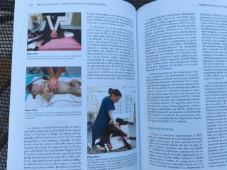 Manual  Urgencias Cuidados intensivos veterinaria