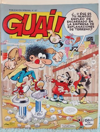 LOTE TEBEOS GUAI.