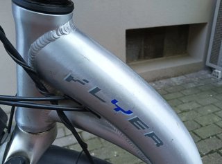 Bicicletta elettrica