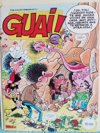 LOTE TEBEOS GUAI.46.