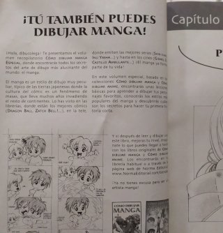 Como dibujar manga - Norma Editorial número especi