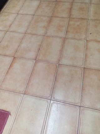 Se ofrece chica para limpieza
