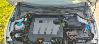 SEAT Ibiza 2010