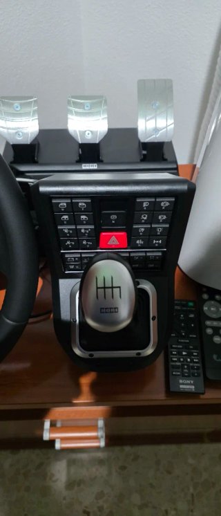 Volante Hori ETS2