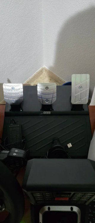Volante Hori ETS2