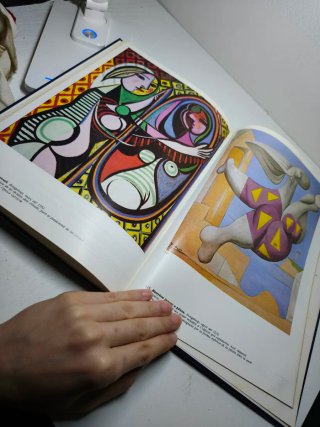 Libro obras de Picasso